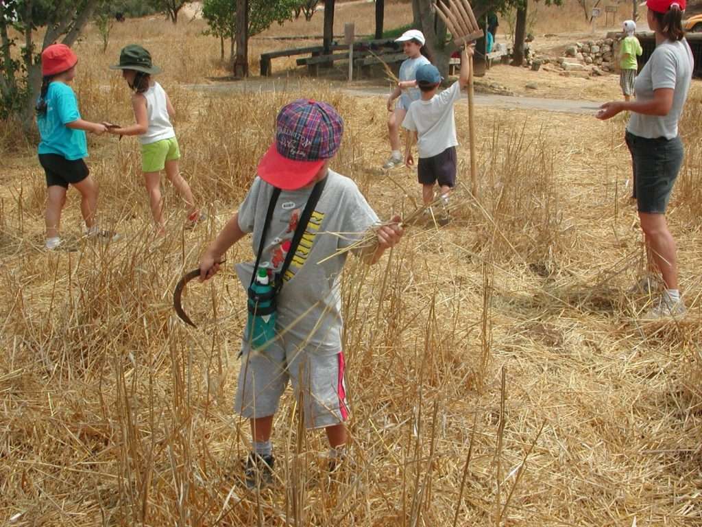 צילום: נאות קדומים