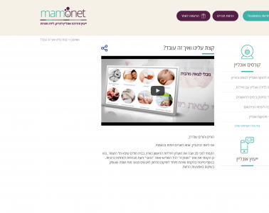 מאמונט