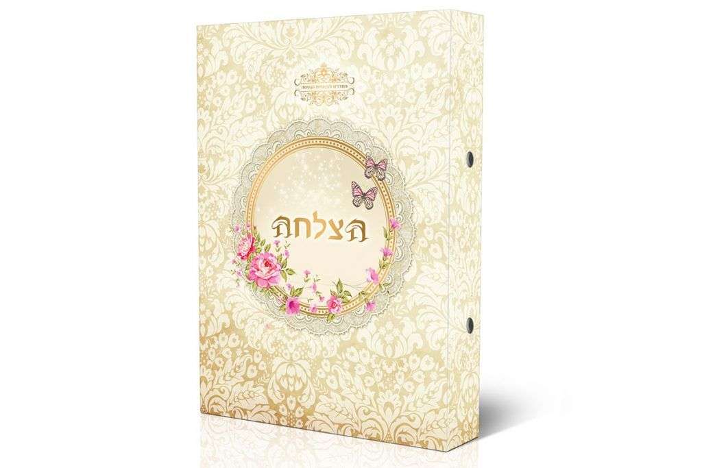 הדמיה-קלסר-הצלחה